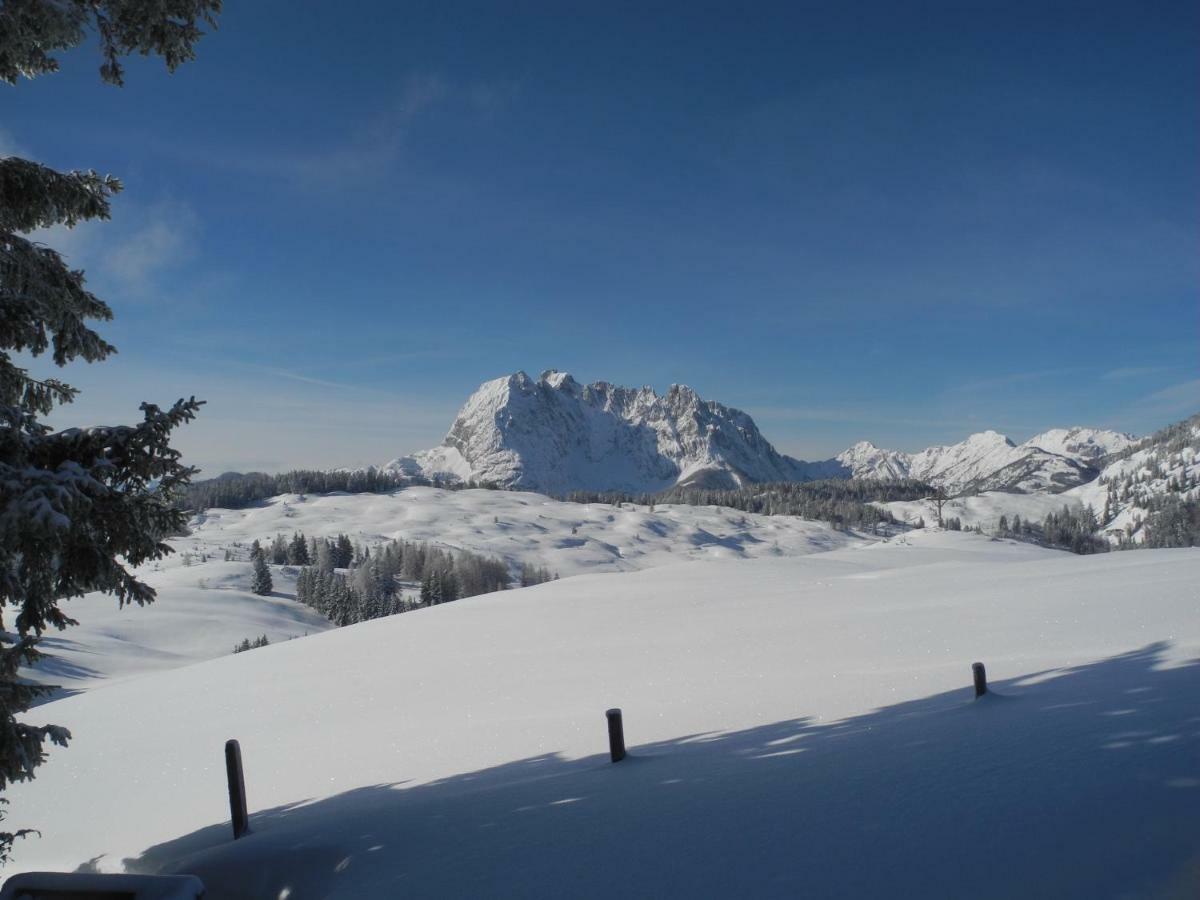 Appartement pure mountain BASE à Erpfendorf Extérieur photo