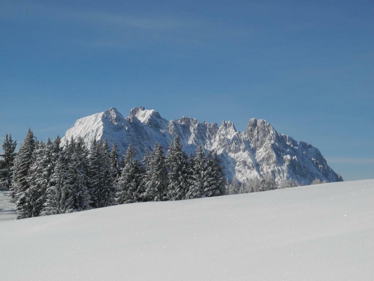 Appartement pure mountain BASE à Erpfendorf Extérieur photo